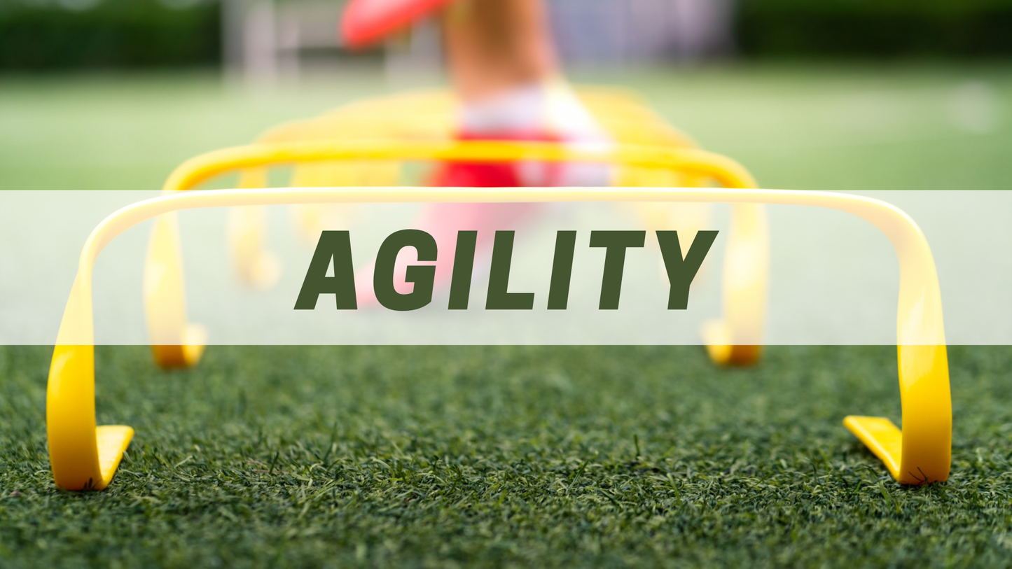 Game-Changing Agility